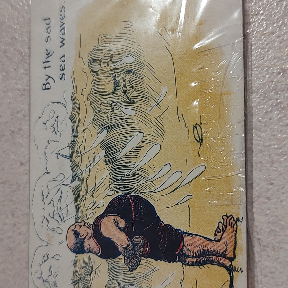 This vintage postcard depicts a scene with a fat man and his dog by the ocean.